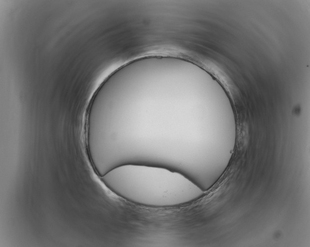 X0000097471103200802220823