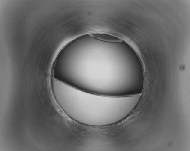 X0000097471104200802220823