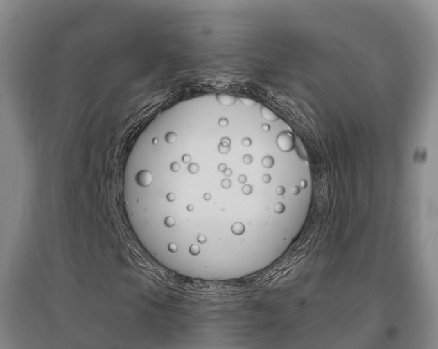 X0000097471105200802220823