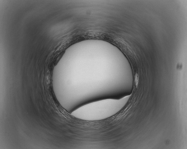 X0000097471107200802220823