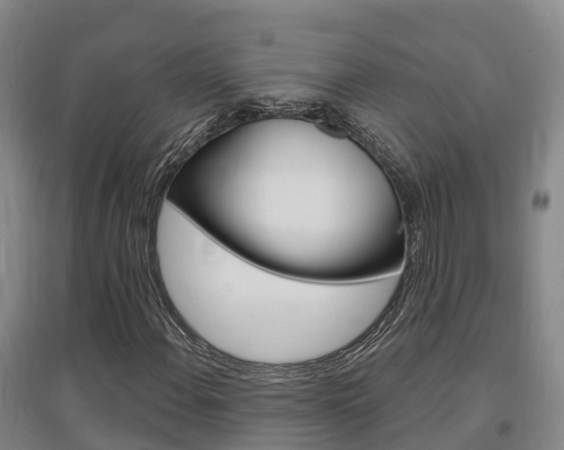 X0000097471108200802220823
