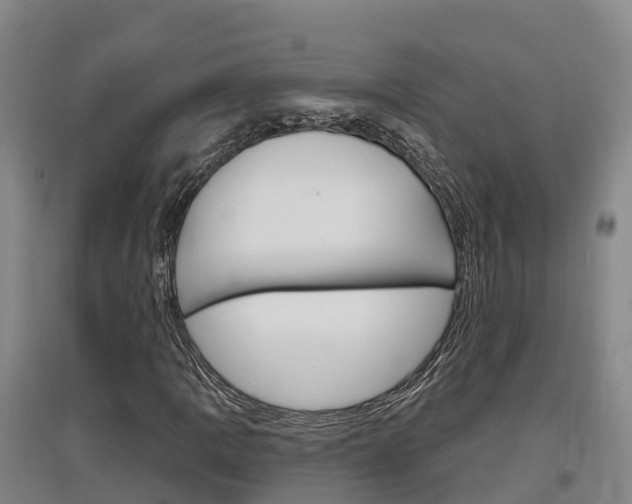 X0000097471109200802220823