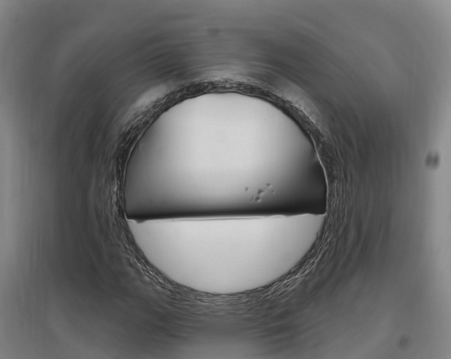 X0000097471111200802220823