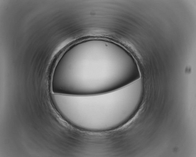X0000097471114200802220823
