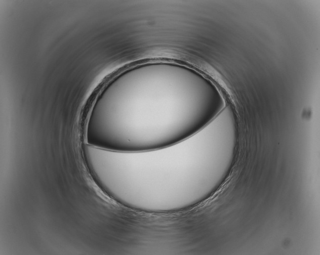 X0000097471116200802220823