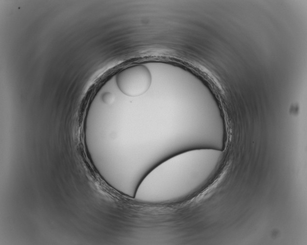 X0000097471117200802220823