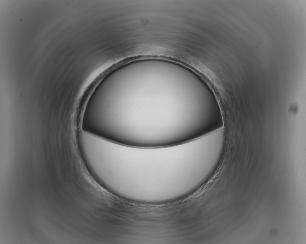 X0000097471120200802220823