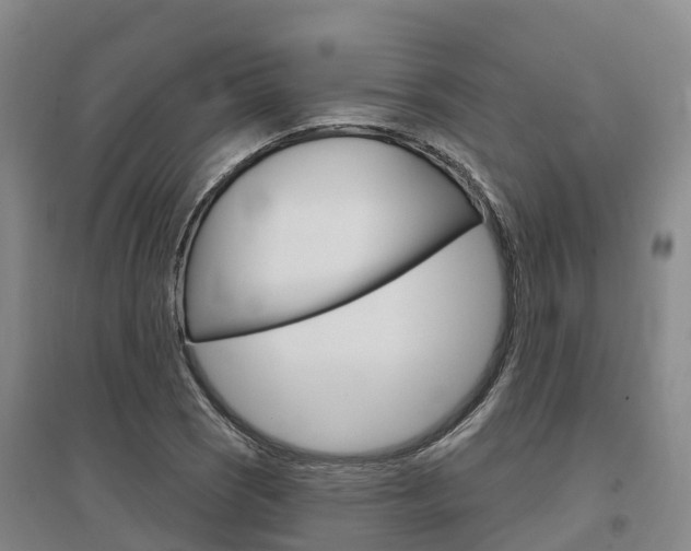 X0000097471121200802220823