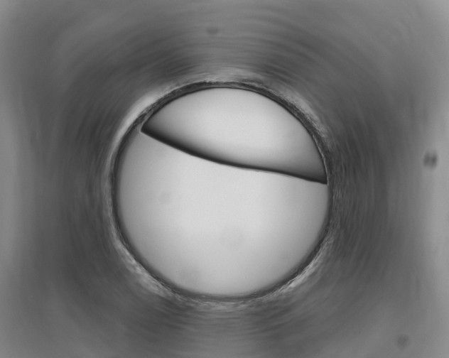X0000097471122200802220823