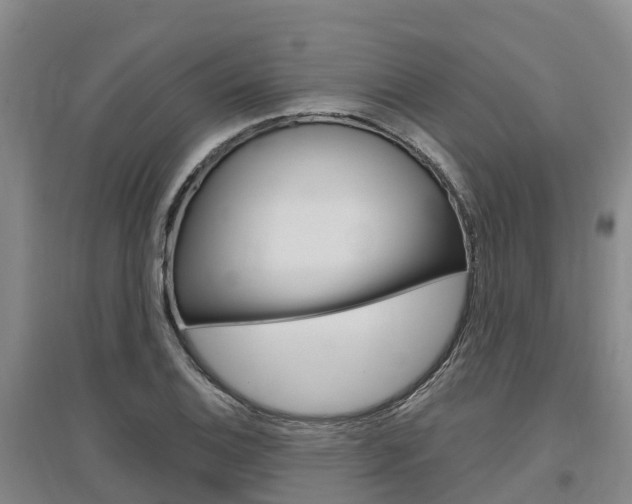 X0000097471124200802220823