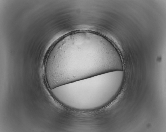 X0000097471125200802220823