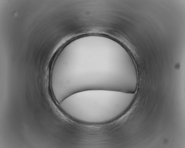 X0000097471126200802220823