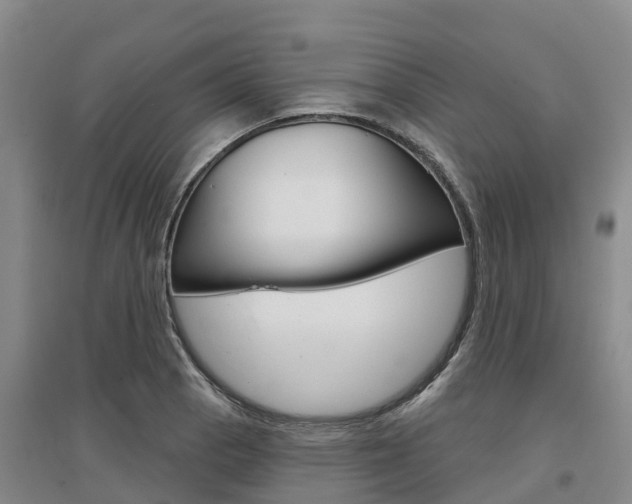 X0000097471129200802220823