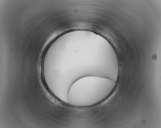 X0000097471130200802220823