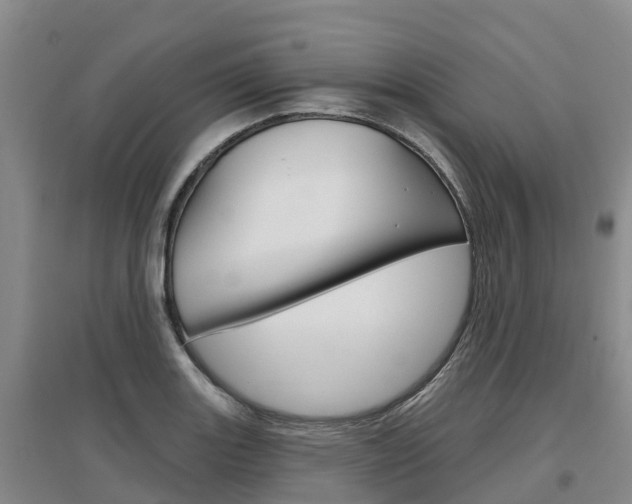 X0000097471131200802220823