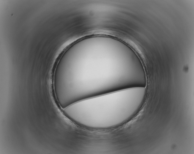 X0000097471133200802220823