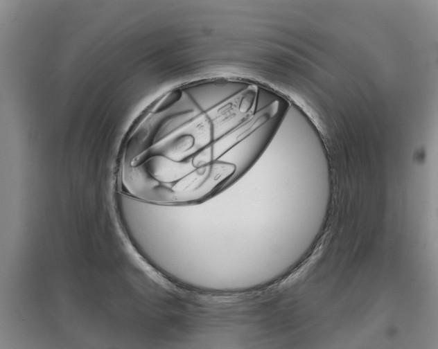 X0000097471134200802220823
