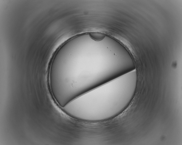 X0000097471135200802220823