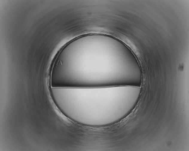 X0000097471136200802220823