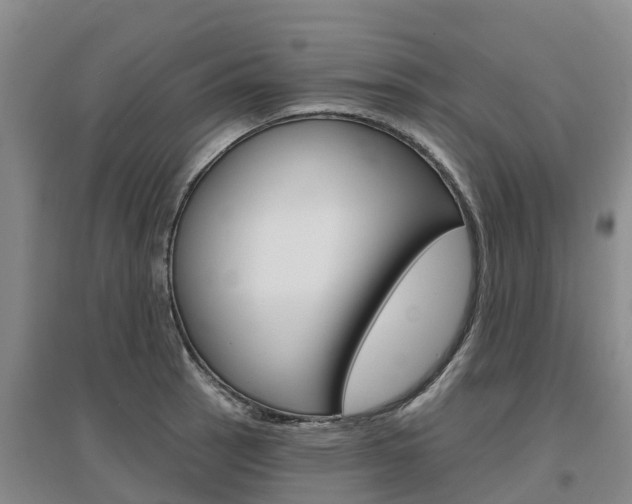 X0000097471137200802220823