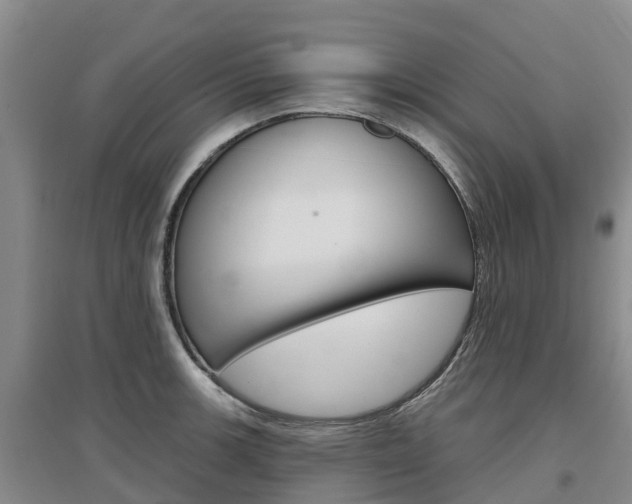 X0000097471139200802220823