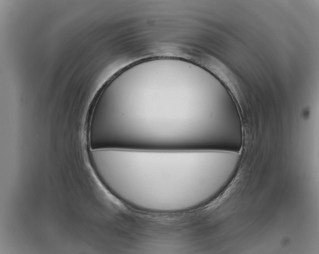 X0000097471141200802220823