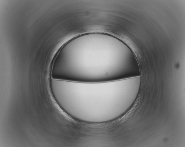 X0000097471142200802220823