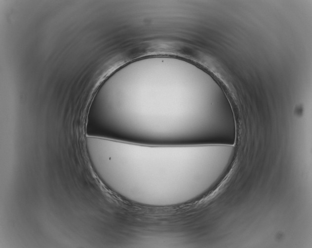 X0000097471145200802220823