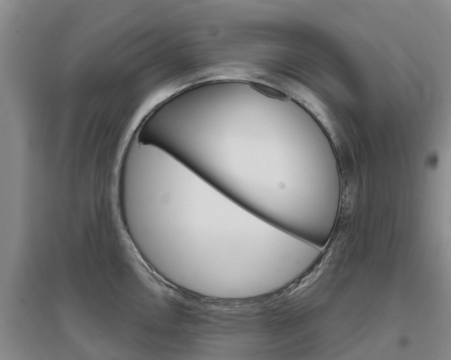 X0000097471146200802220823