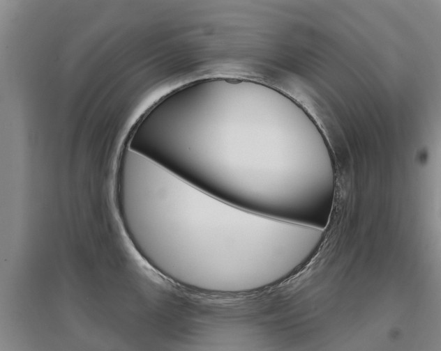 X0000097471147200802220823