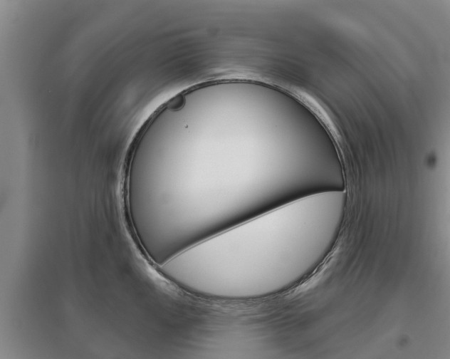 X0000097471149200802220823