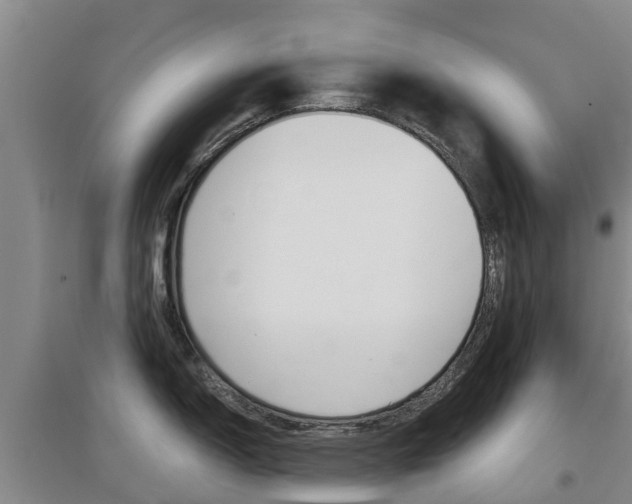 X0000097471150200802220823