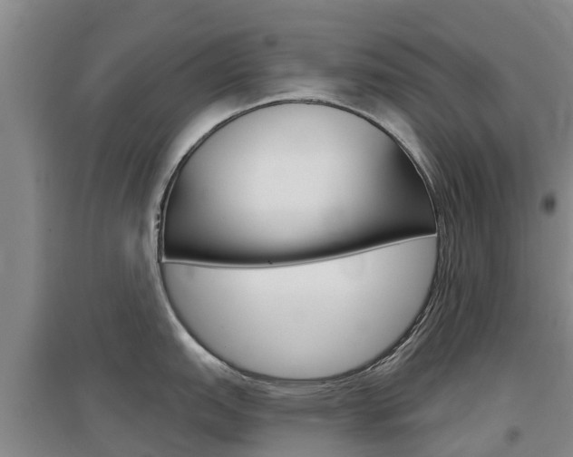 X0000097471151200802220823