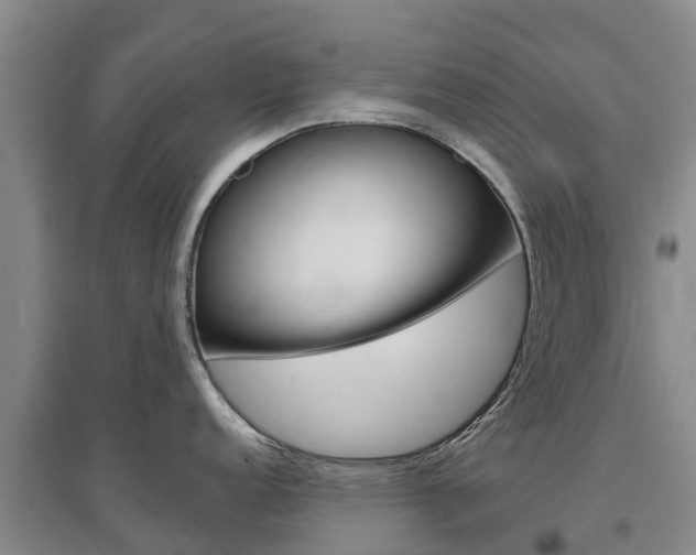 X0000097471152200802220823
