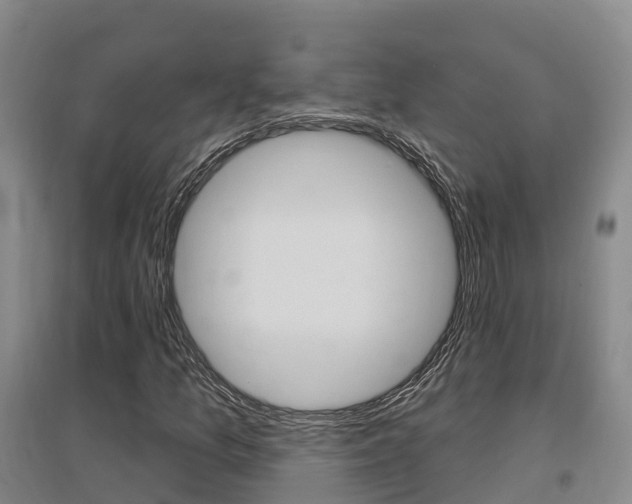 X0000097471157200802220823
