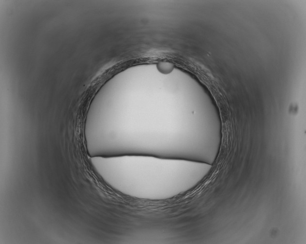 X0000097471158200802220823