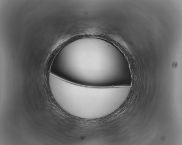 X0000097471160200802220823