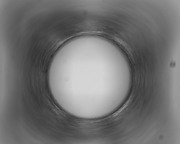 X0000097471161200802220823