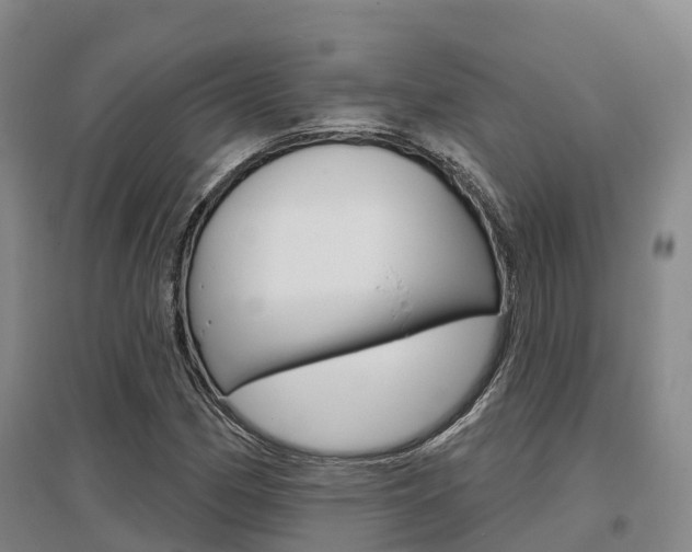 X0000097471162200802220823