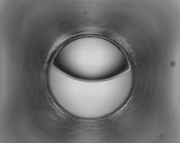 X0000097471164200802220823
