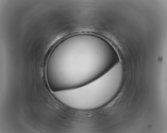 X0000097471165200802220823