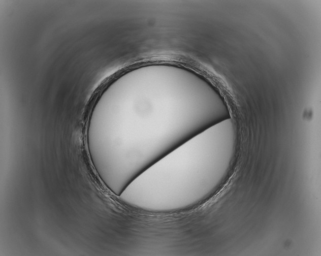 X0000097471166200802220823