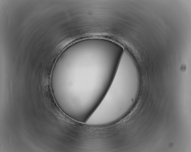 X0000097471169200802220823