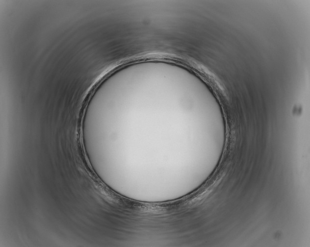 X0000097471170200802220823