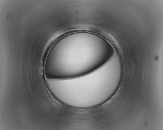 X0000097471172200802220823