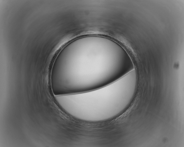 X0000097471173200802220823