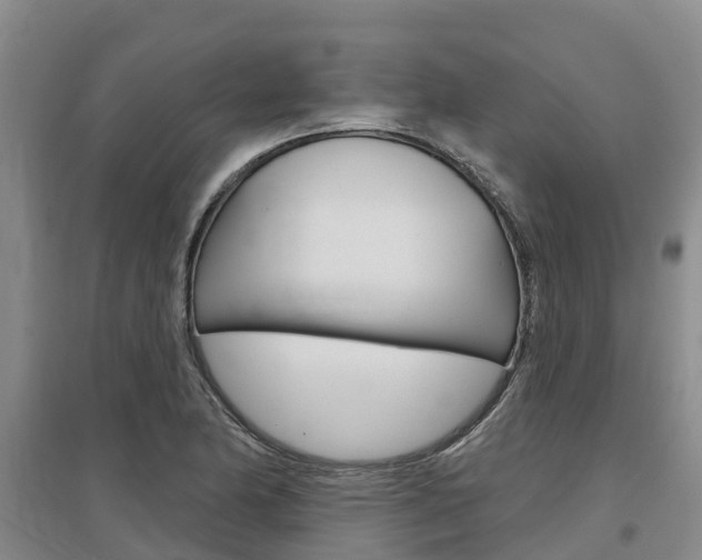 X0000097471174200802220822