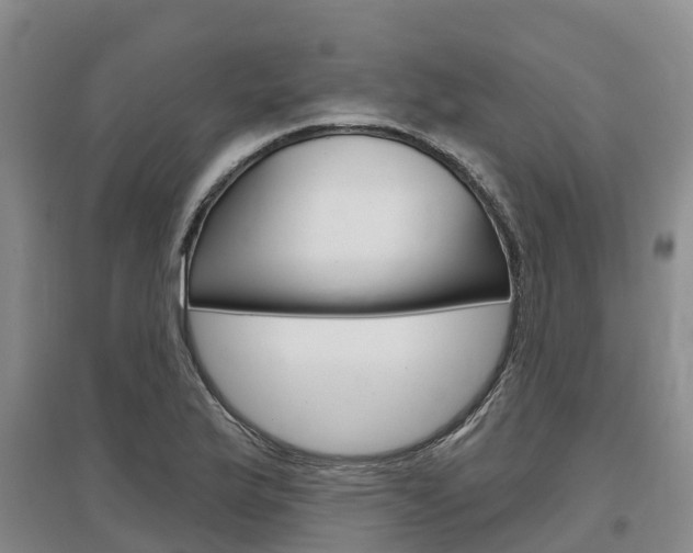 X0000097471175200802220822