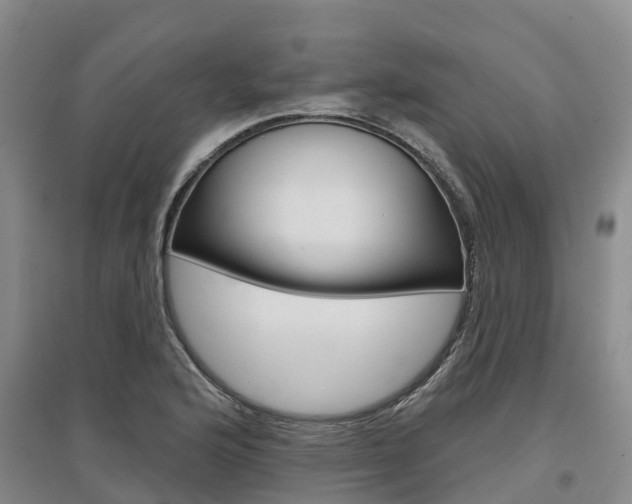 X0000097471176200802220822