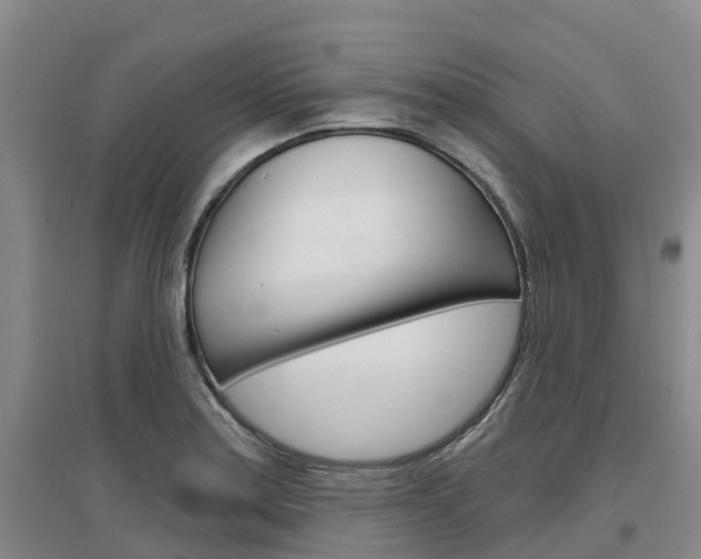X0000097471179200802220822